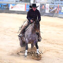 Reining - Finals