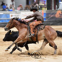 Fence Work - Finals