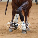 Open & Non Pro 4yr Old Futurity